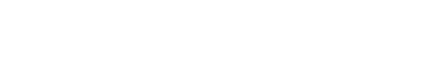 Lewis-Mancebo Enterprise LLC