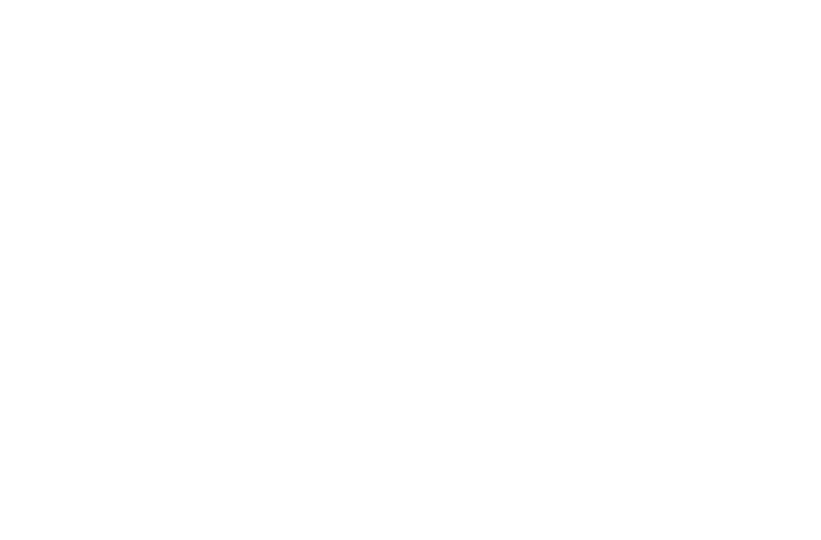 Lewis-Mancebo Enterprise LLC logo